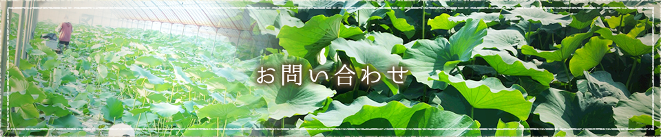 お問い合わせ